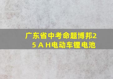 广东省中考命题博邦25 A H电动车锂电池